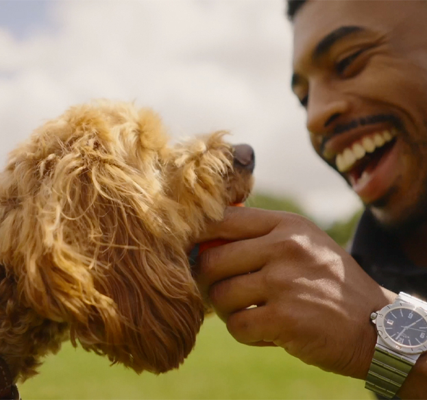 Pet owner happily playing with dog, symbolizing healthy and protected pets