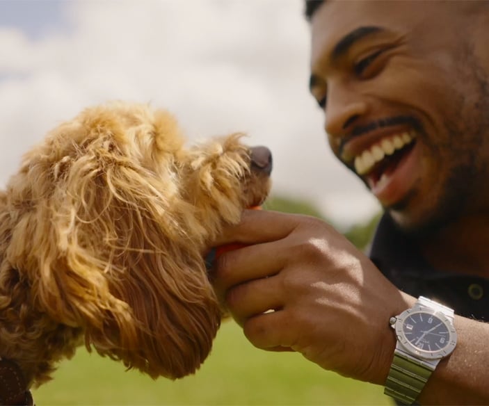 Pet owner happily playing with dog, symbolizing healthy and protected pets